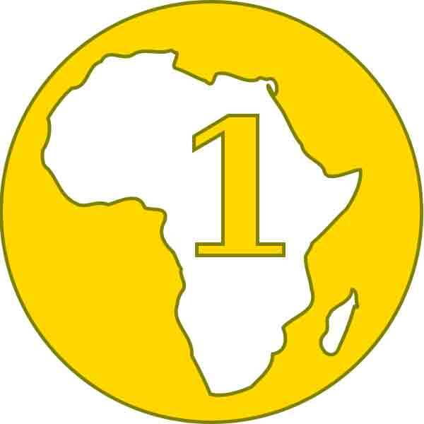 Classement Des 100 Premiers Assureurs Africains